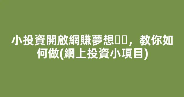 小投資開啟網賺夢想，教你如何做(網上投資小項目) - 嚴選資源大全